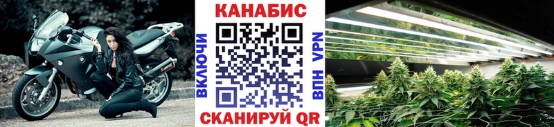 Бошки марихуана LSD WEED  купить наркотик  Туран 